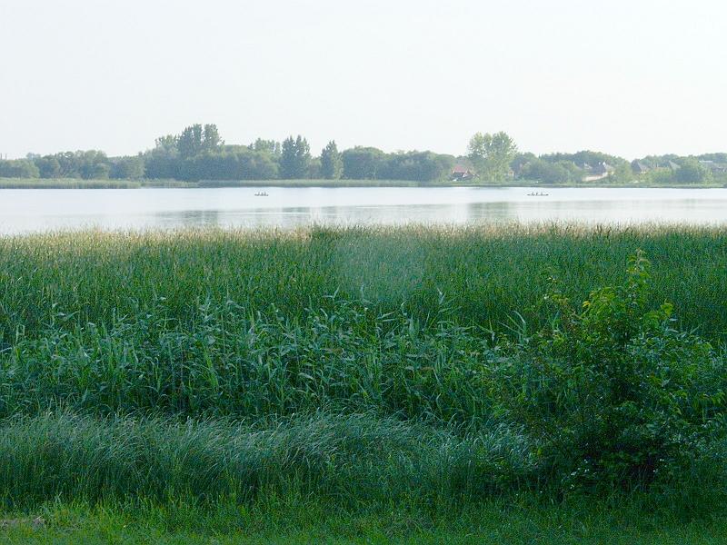 szate (133).jpg